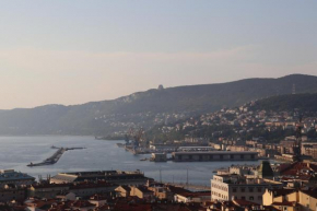 IR Panoramic Trieste